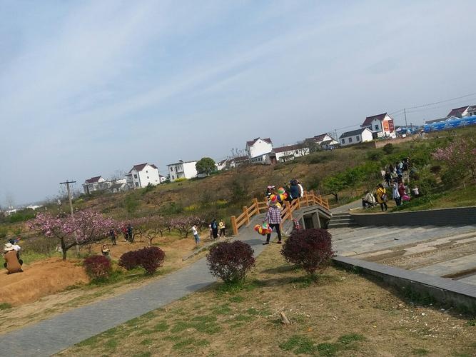 护河镇