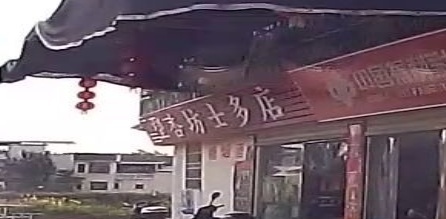 杏坊市多