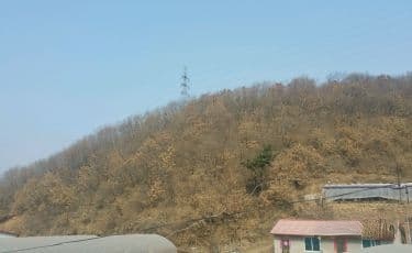 九龙墓园