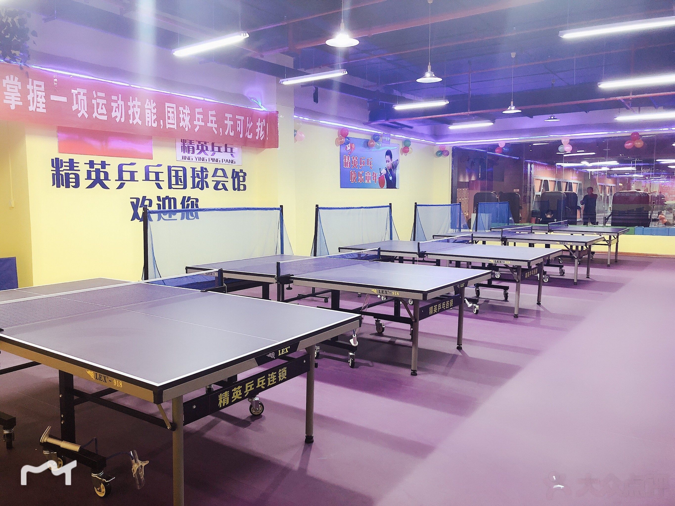 精英乒乓(龙湾店)