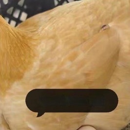 九记(粤华路关闸店)