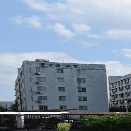 中国瓯宝