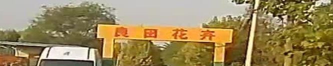 良田花卉