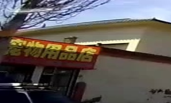 胖墩宠物用品店