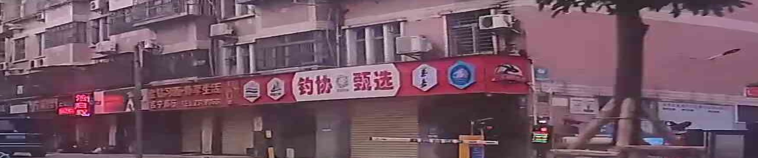 钓协甄选