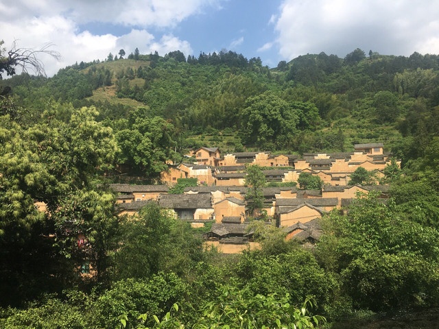 松阳市林村林场