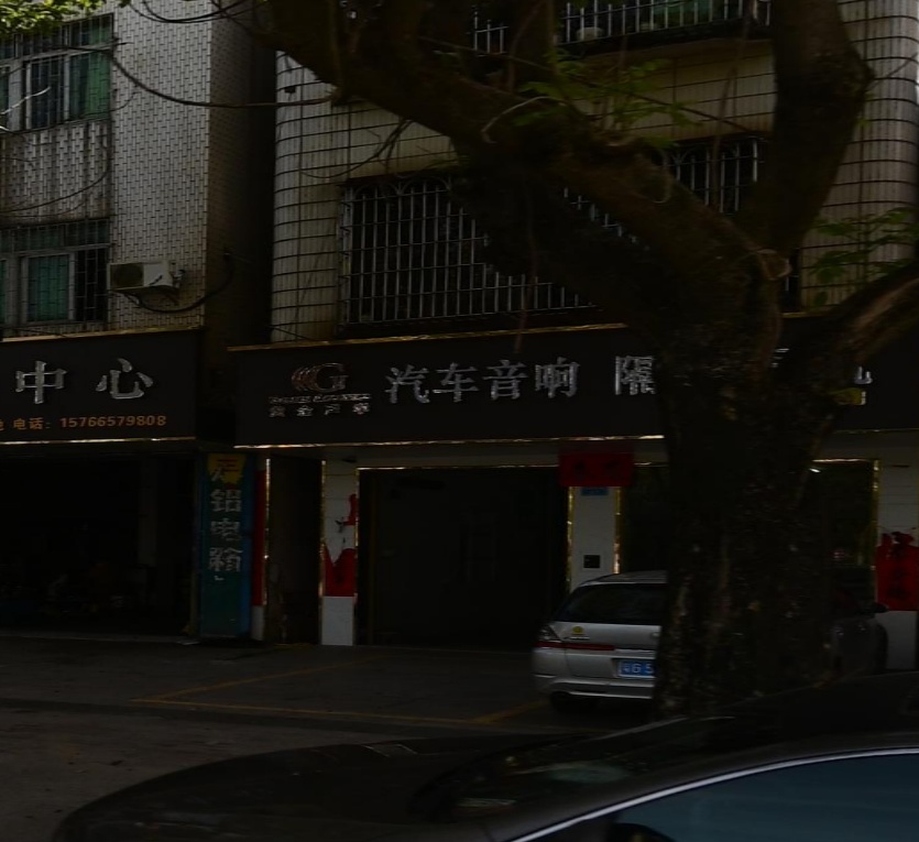 黄金声学汽车音响(湛江麻章直营店)