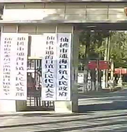 仙桃市通海口镇人民政府