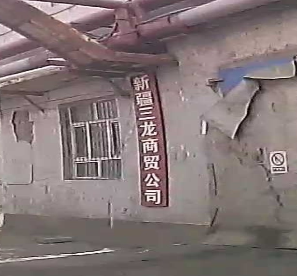 新疆三龙商贸公司