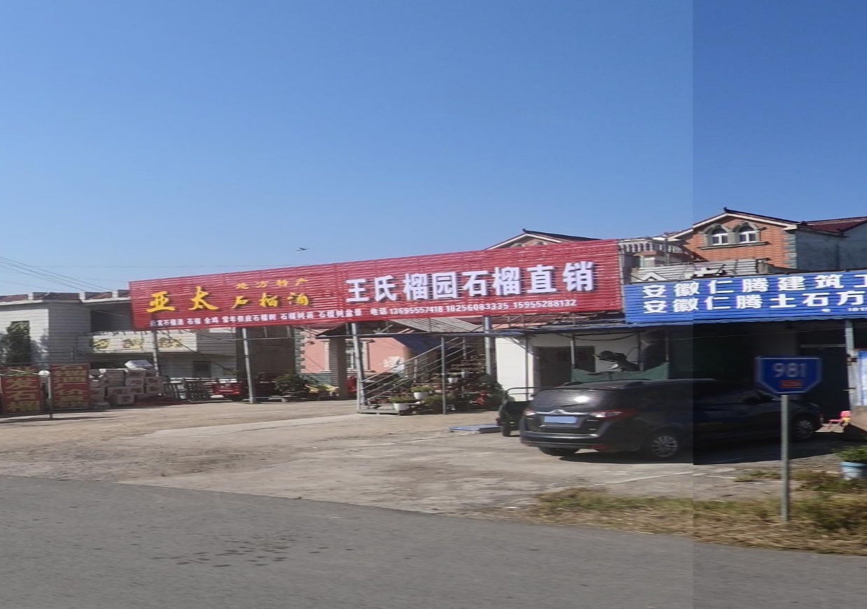 王氏榴园(石榴直销二店)