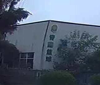 青藤篮求
