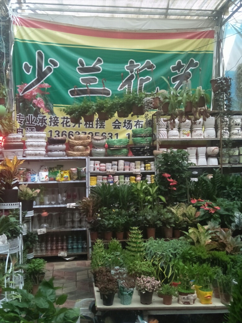 洛阳市洛龙区安乐新村少兰花艺(洛阳新村花卉市场店)