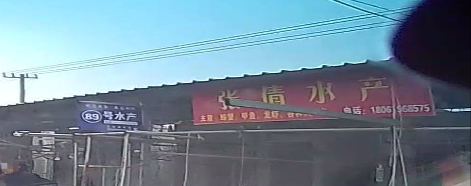 张倩水产