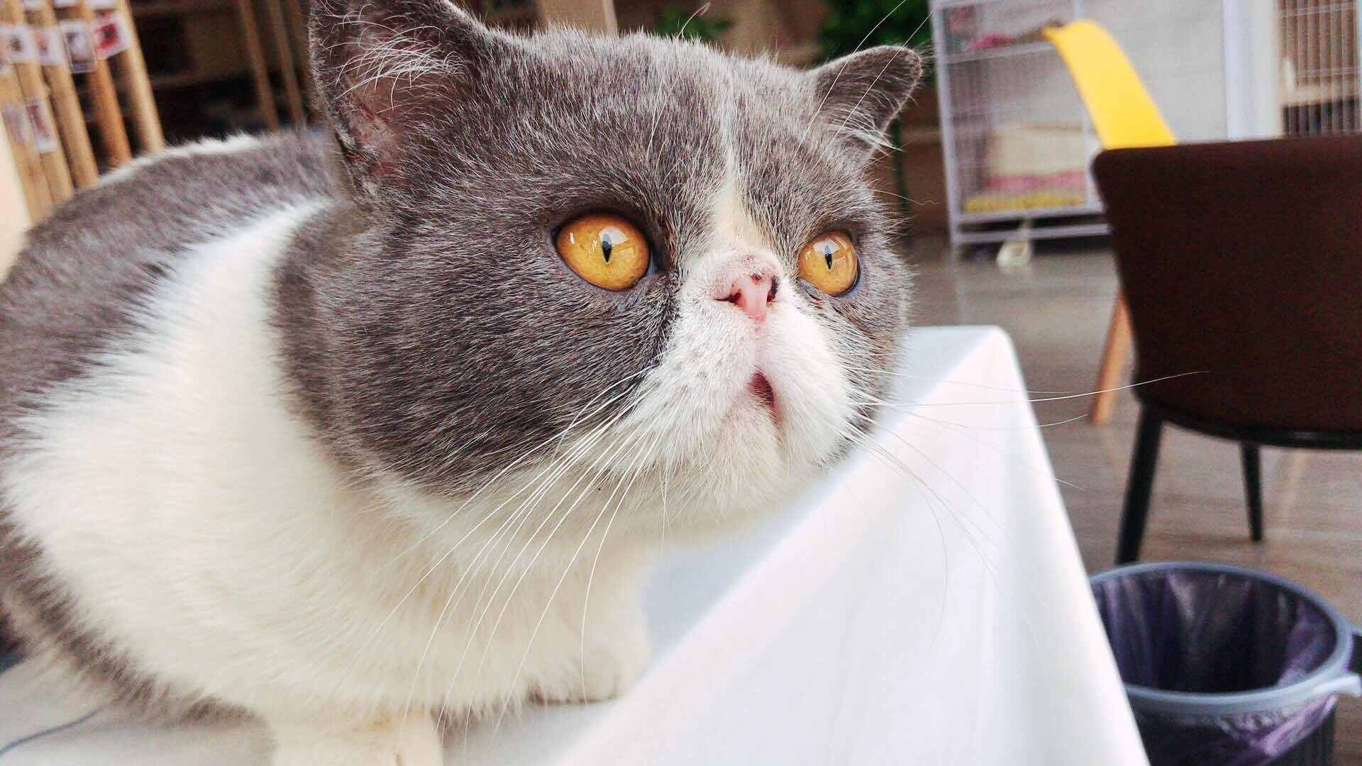 小百万社(绿地店)