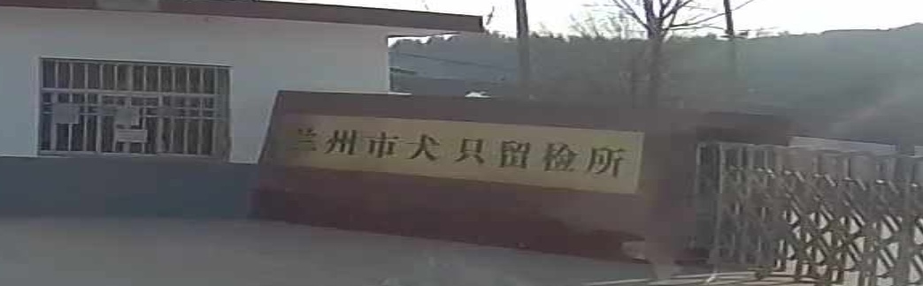 兰州市犬只留检所