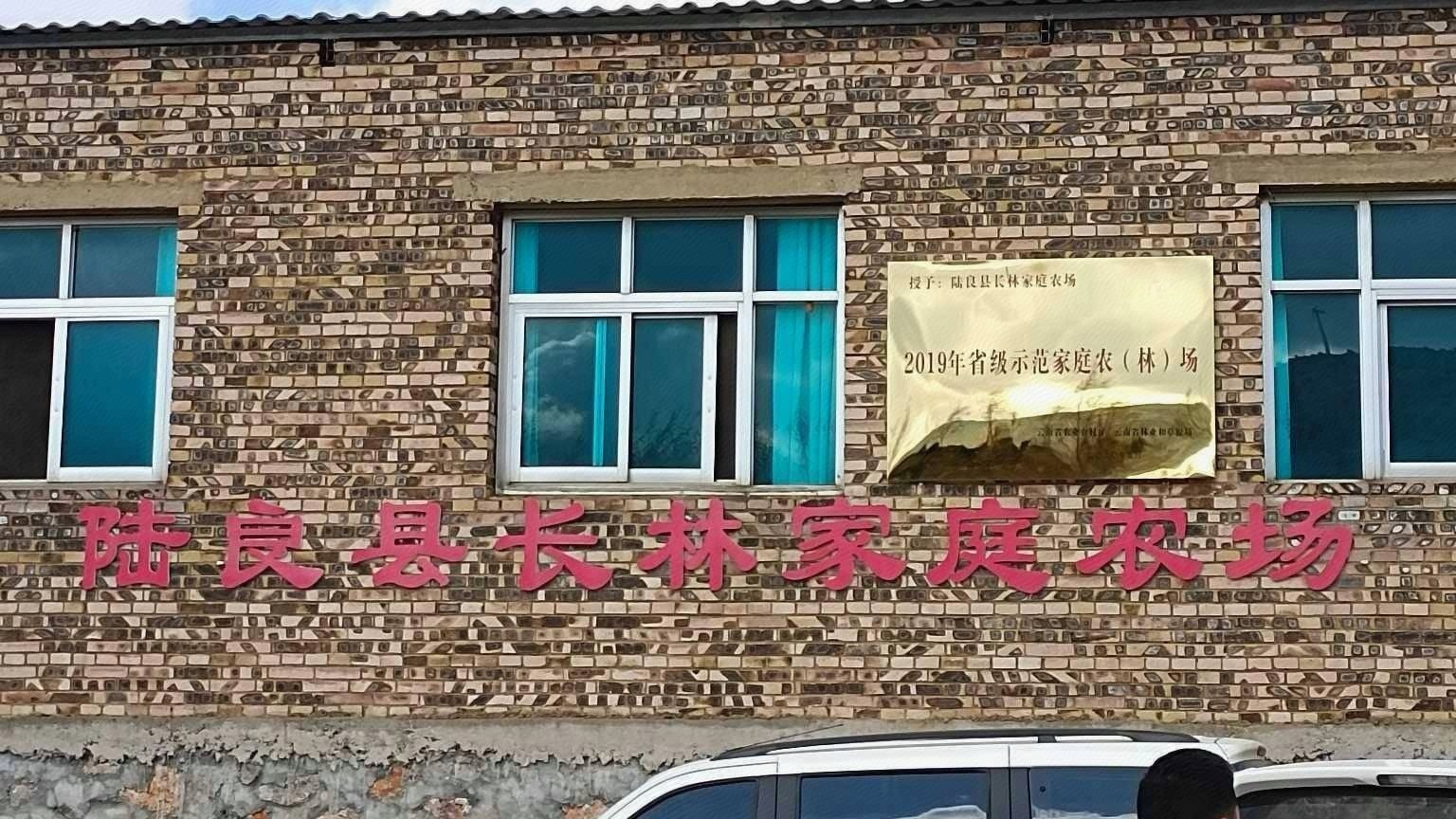 陆良县长枫家庭农场