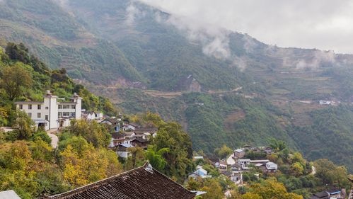 中排乡