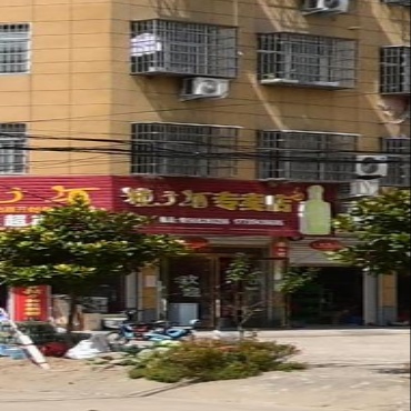 固始县李店镇种子酒专卖店