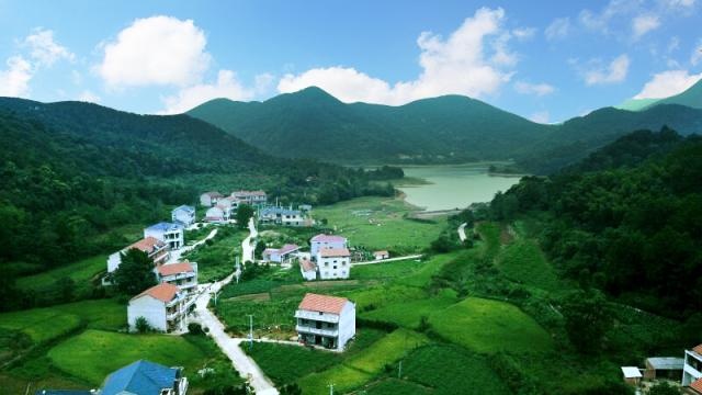 马桥村