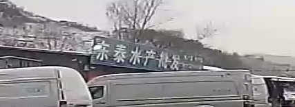 东泰水产批发