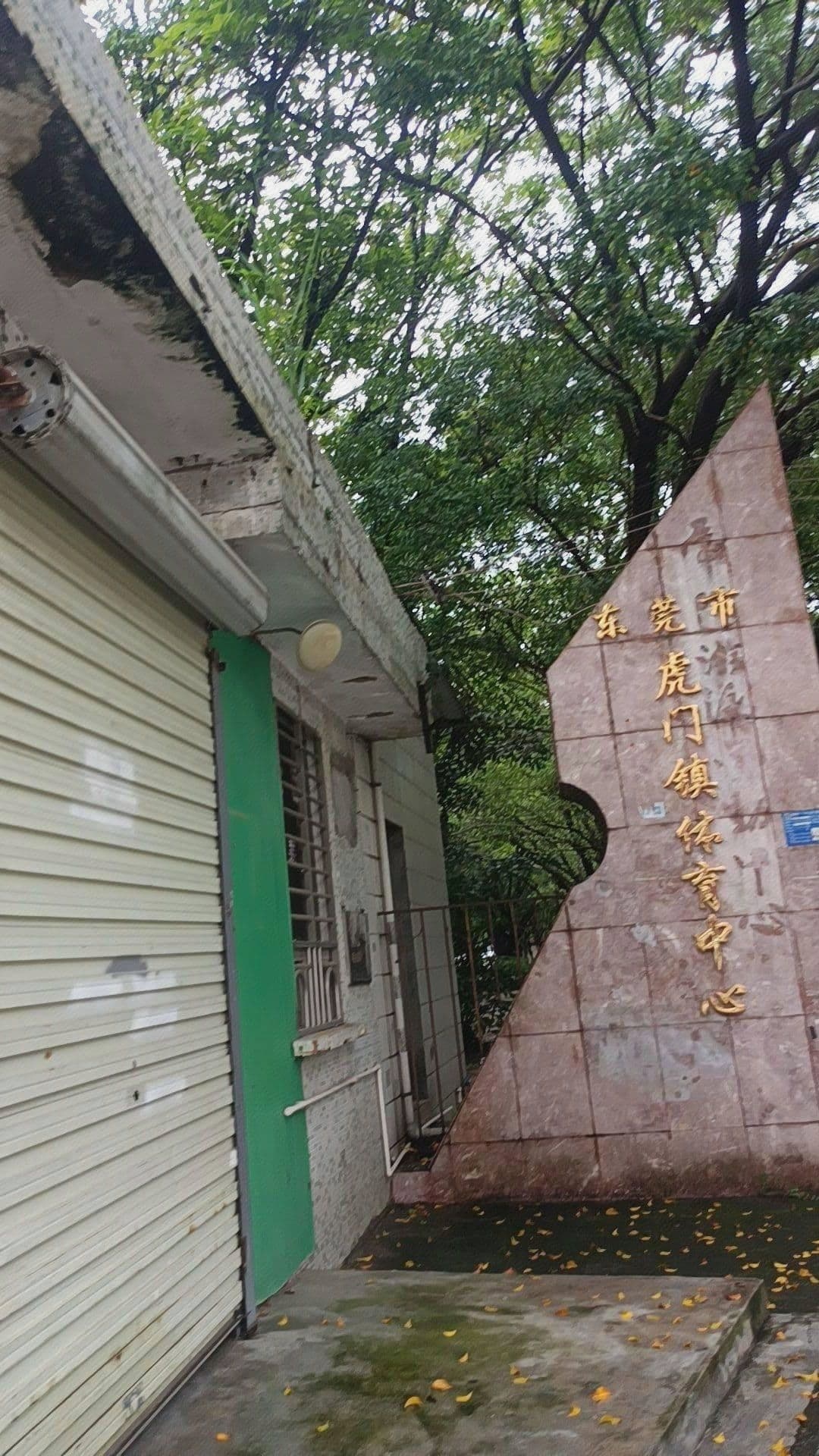 东莞市虎门镇体育中心-游泳中心