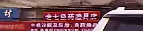 老七鱼药鱼具店