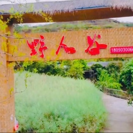 野人谷