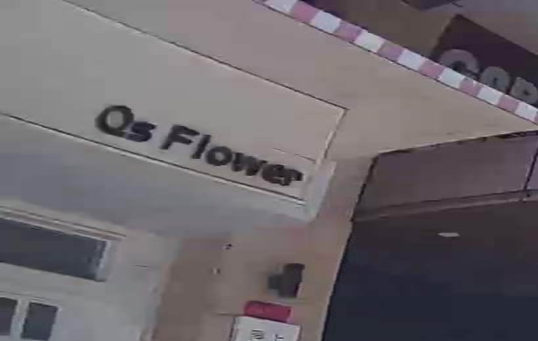 Qs+Flower