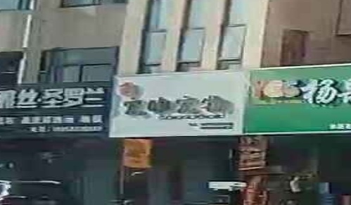 萌宠物店