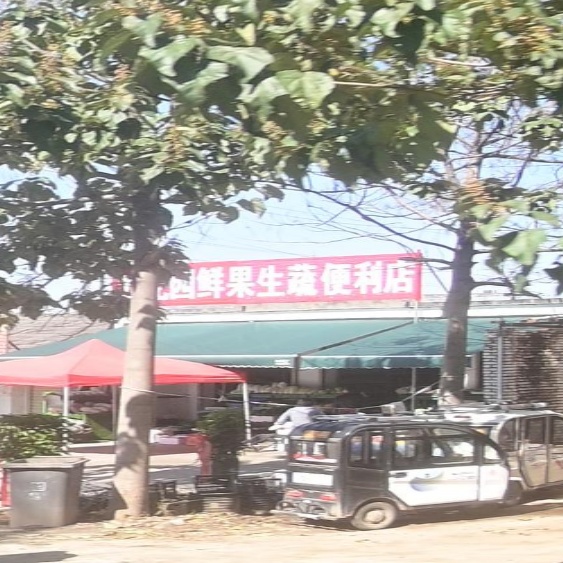 刘花园鲜果生疏便利店