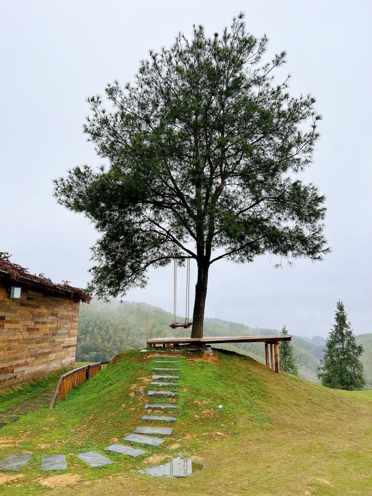 长坪竹林山庄