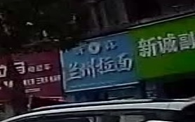 清真兰州拉面(福鼎泰禾红树林店)