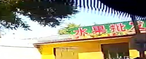 水果批发