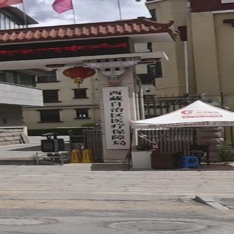 西藏自治区医疗保障局