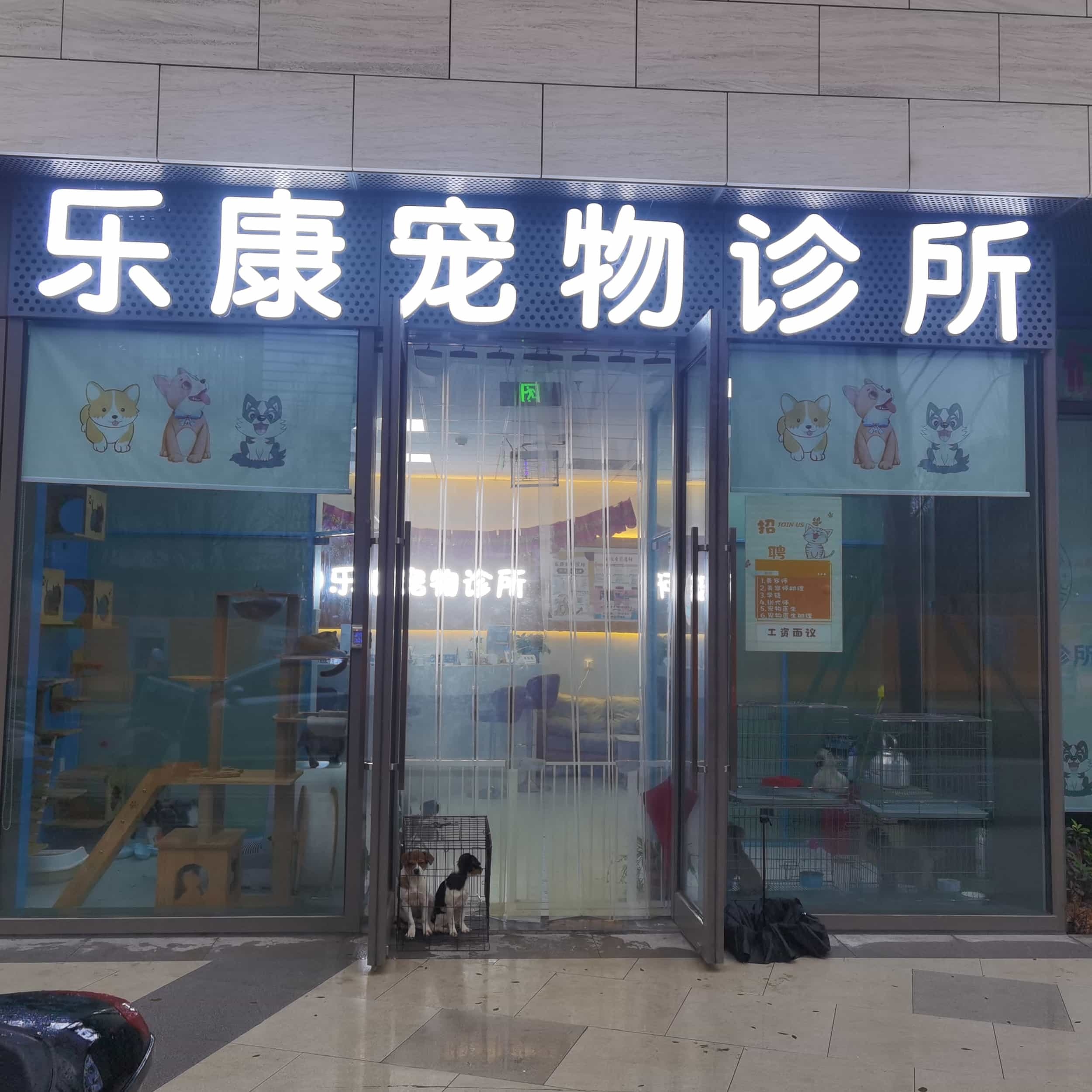 乐康宠物诊所(定沈路店)