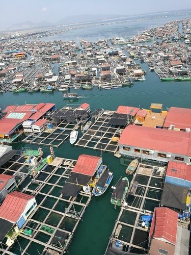 卜吉村