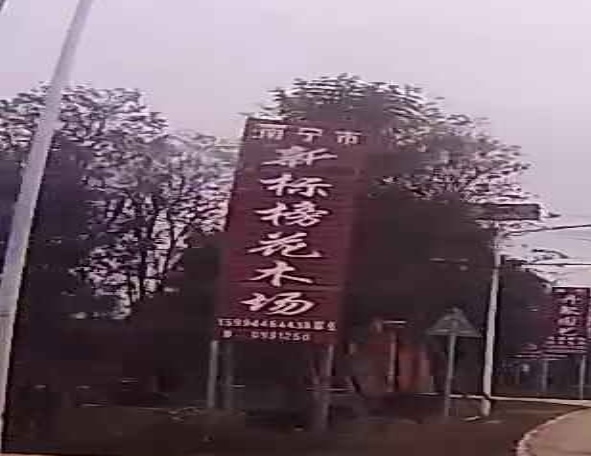 南宁市新标榜花木场