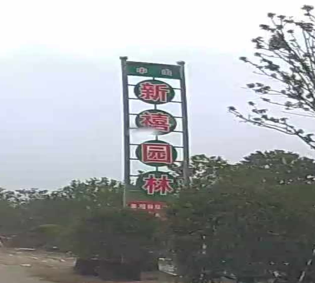 中山市新禧园林