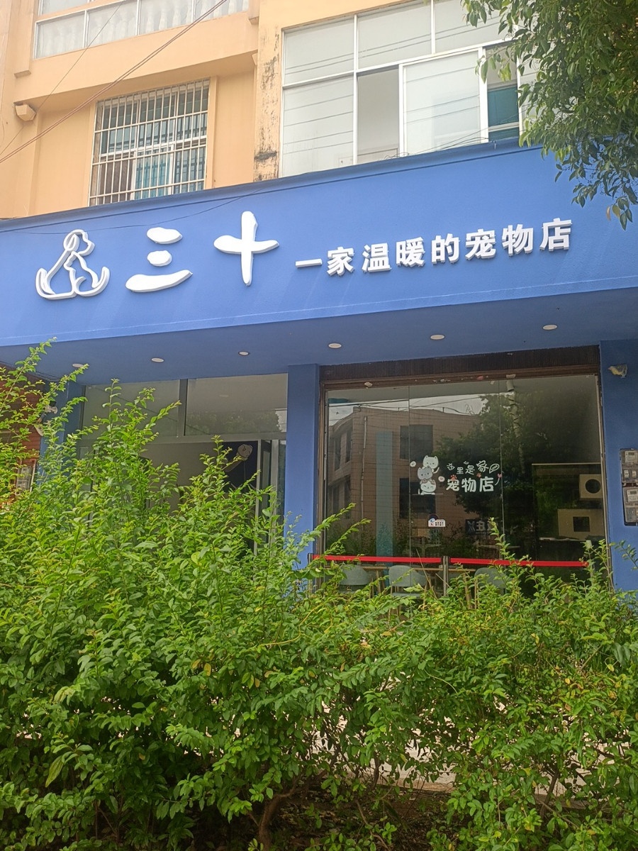 三十宠物店