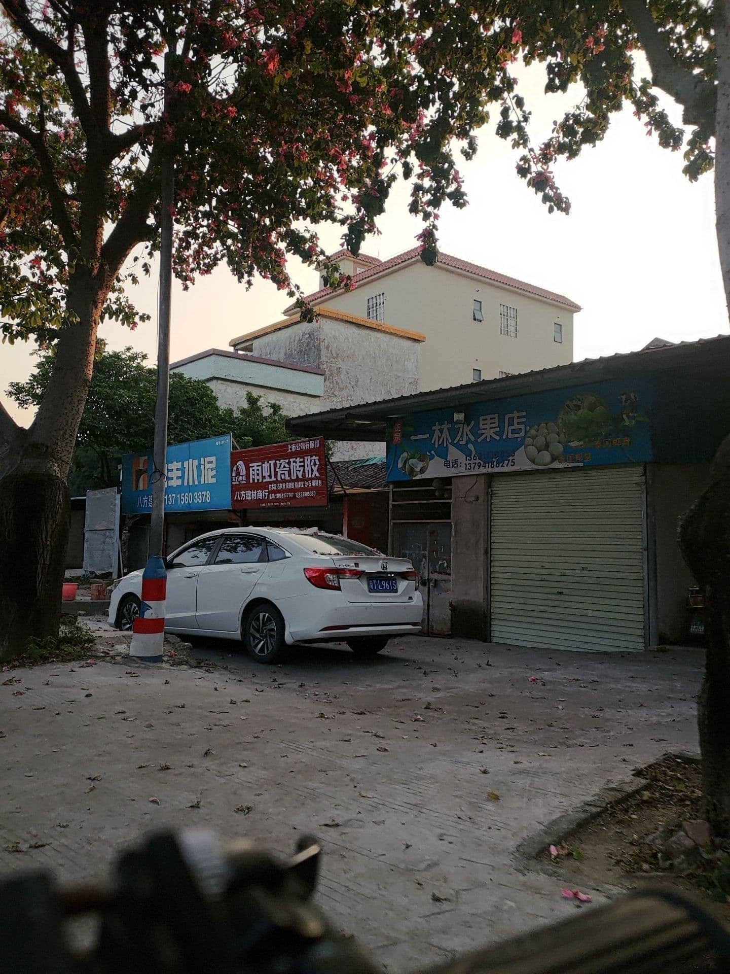 小榄镇一林水果店