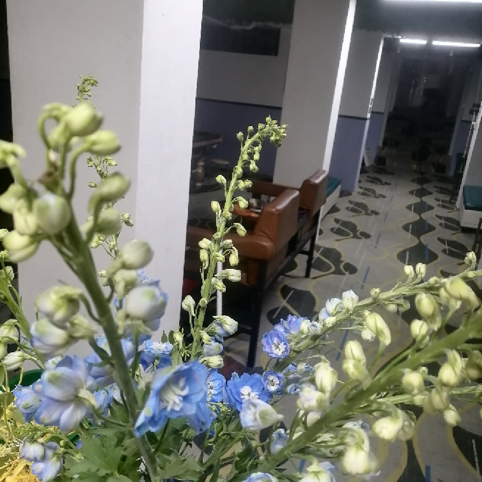 爱尚台球