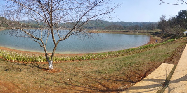 拾贝湖樟树公墓