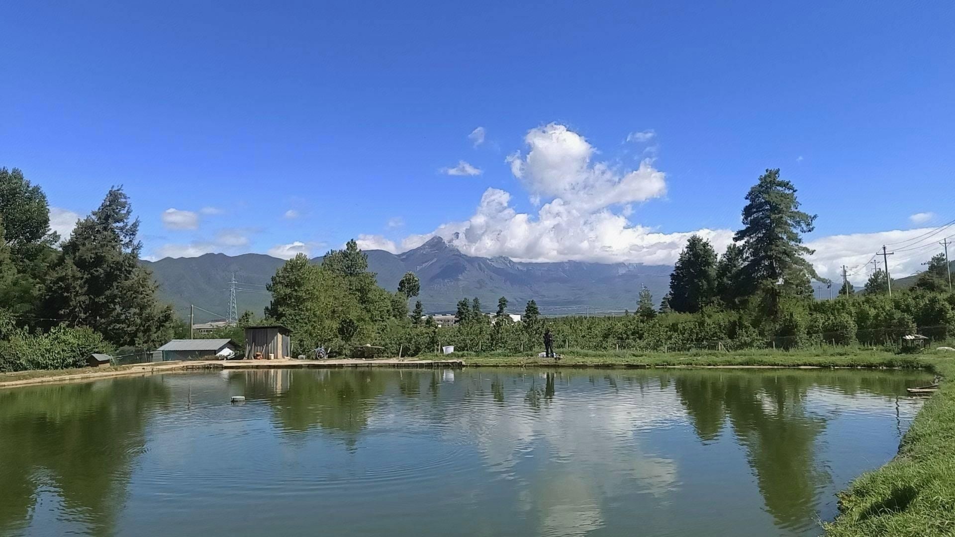 东山脚生态垂钓