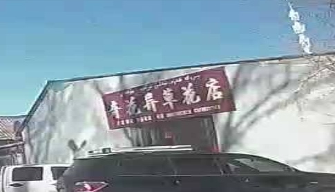 奇花异草花店