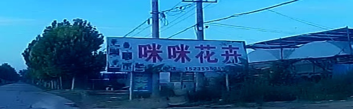 咪咪花卉
