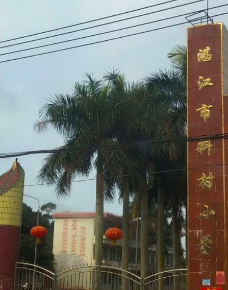 湛江市料村小学