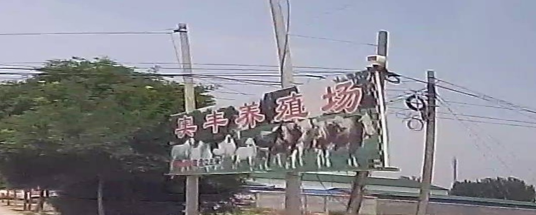 奥丰牛羊驴养殖厂