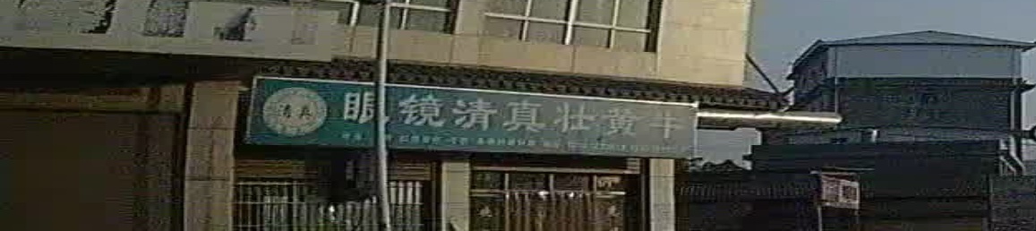 眼镜清真壮黄牛