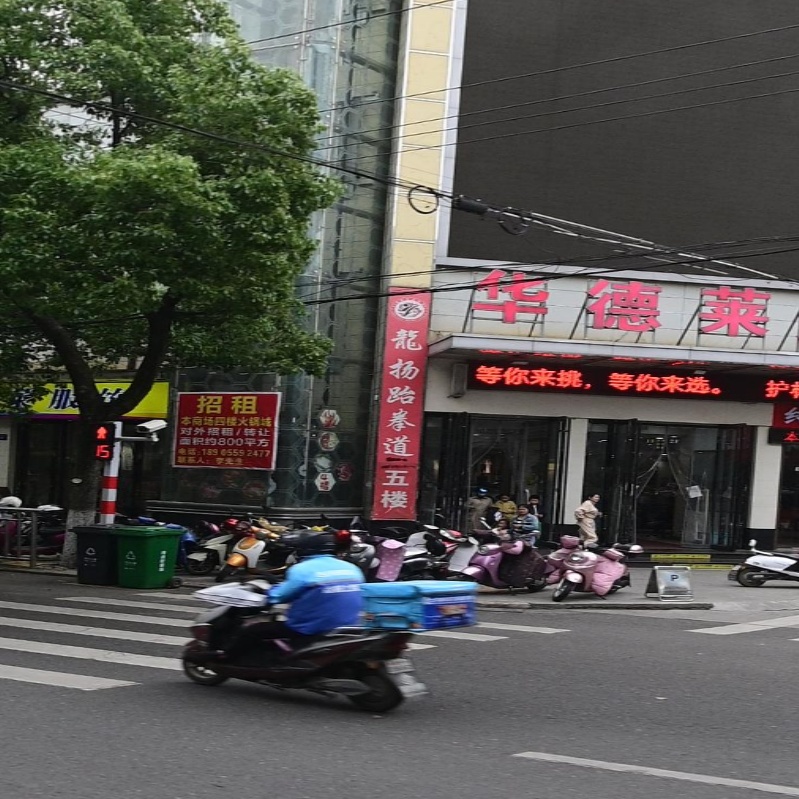 龙扬跆拳道(东方购物广场龙眠中路店)
