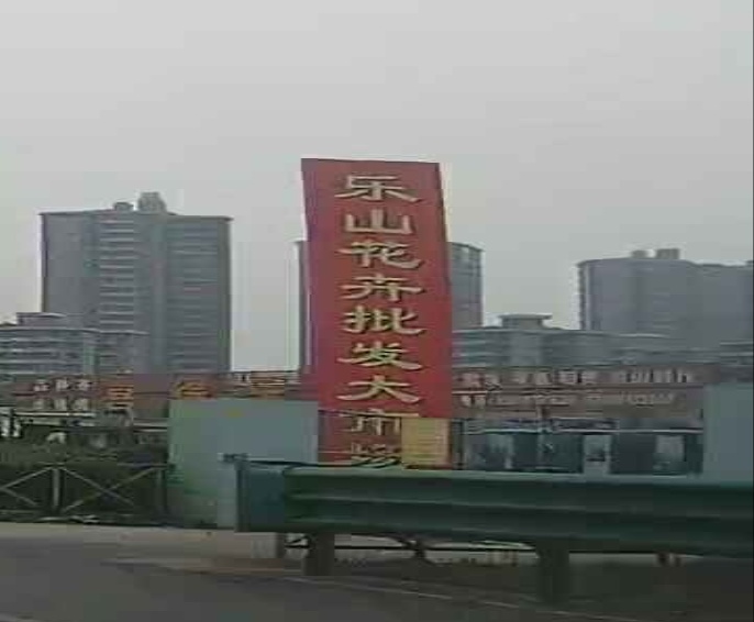 乐山花卉大市场